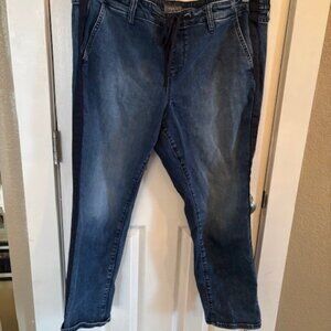 Torrid Elastic Waist Jeans, size 2 Short.  Dark Rinse